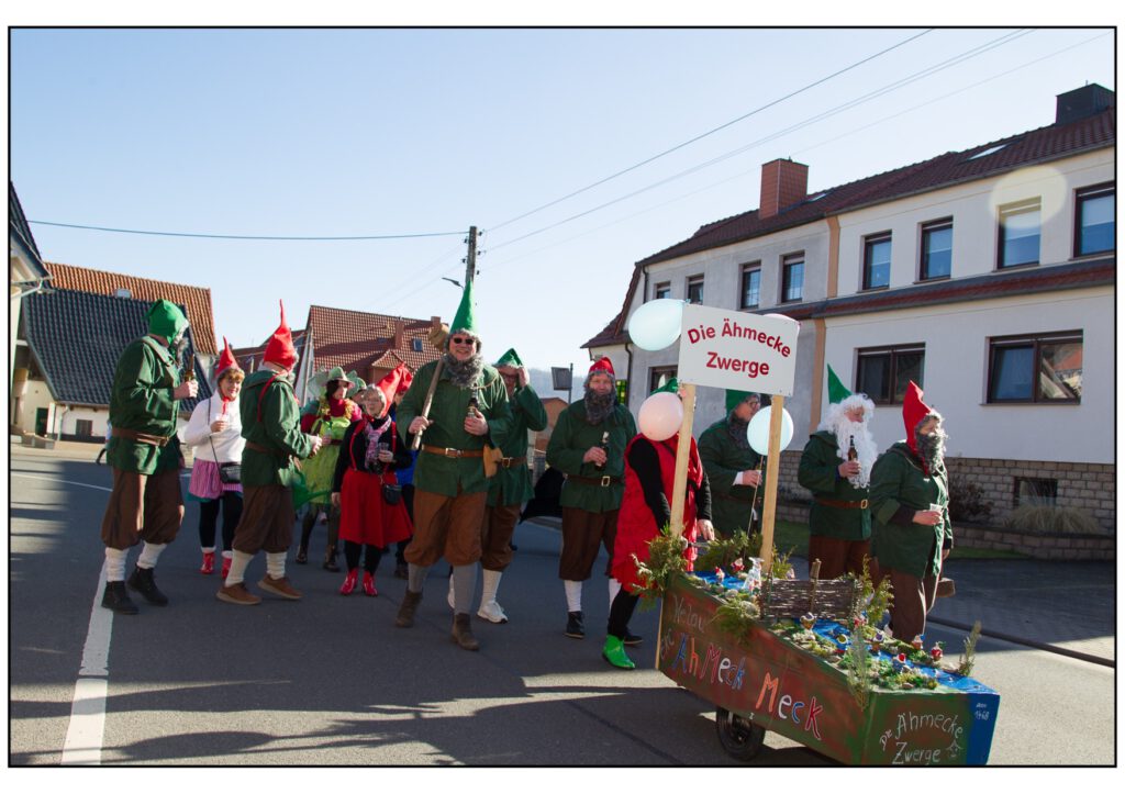 Umzug Karneval 2025-077