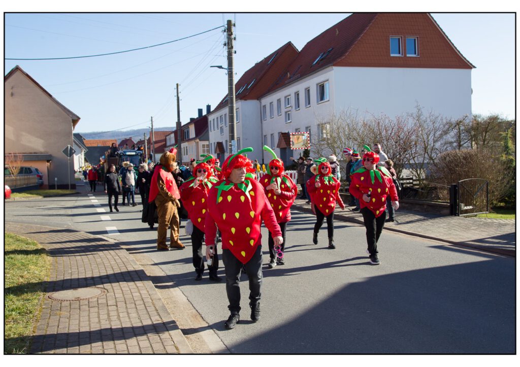 Umzug Karneval 2025-082