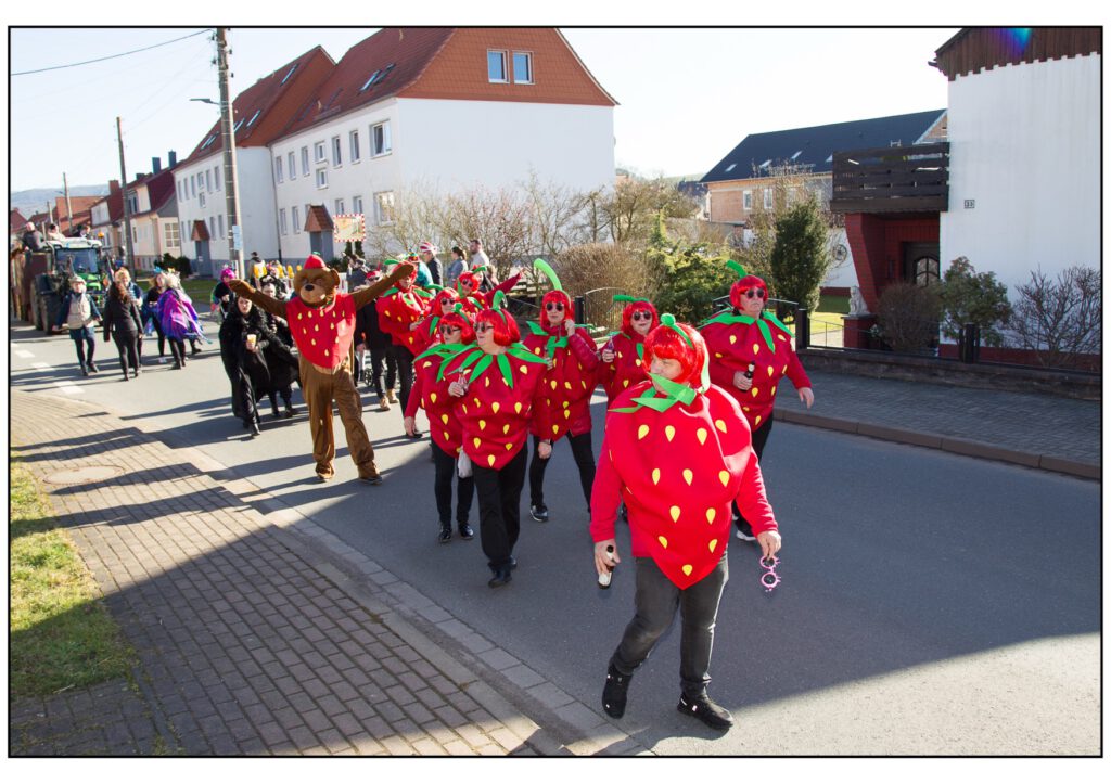 Umzug Karneval 2025-083