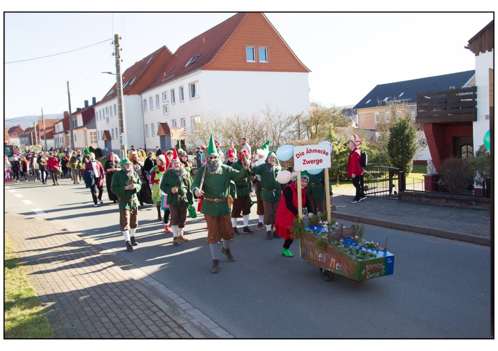 Umzug Karneval 2025-091