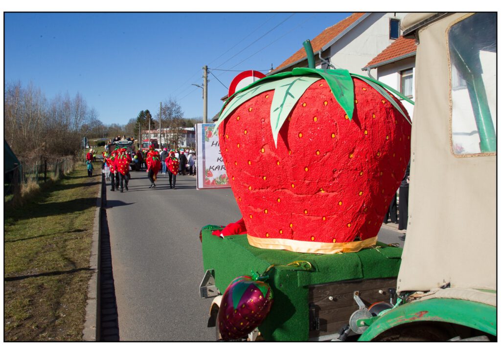 Umzug Karneval 2025-149