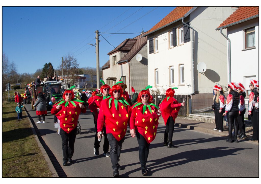 Umzug Karneval 2025-150