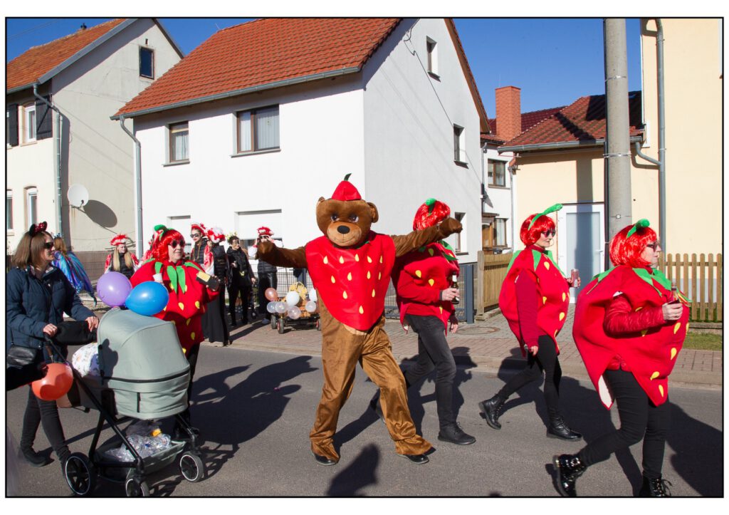 Umzug Karneval 2025-153