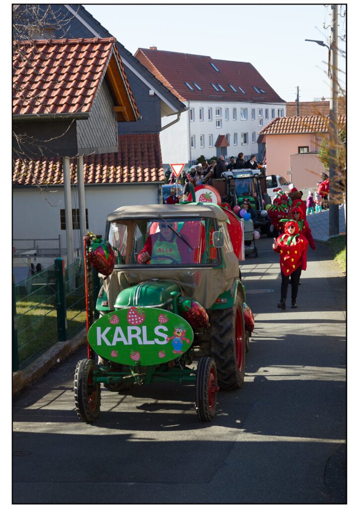 Umzug Karneval 2025-176
