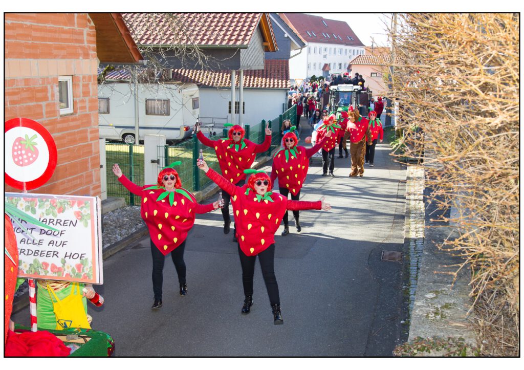 Umzug Karneval 2025-178