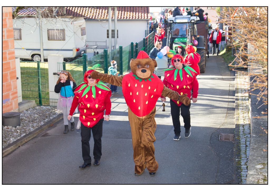 Umzug Karneval 2025-180