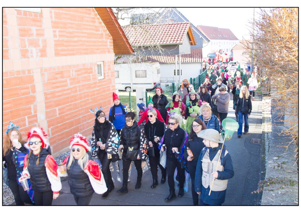 Umzug Karneval 2025-201