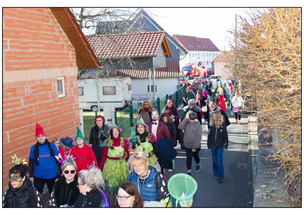 Umzug Karneval 2025-202