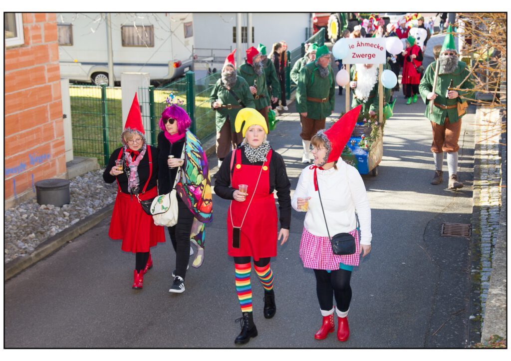 Umzug Karneval 2025-208