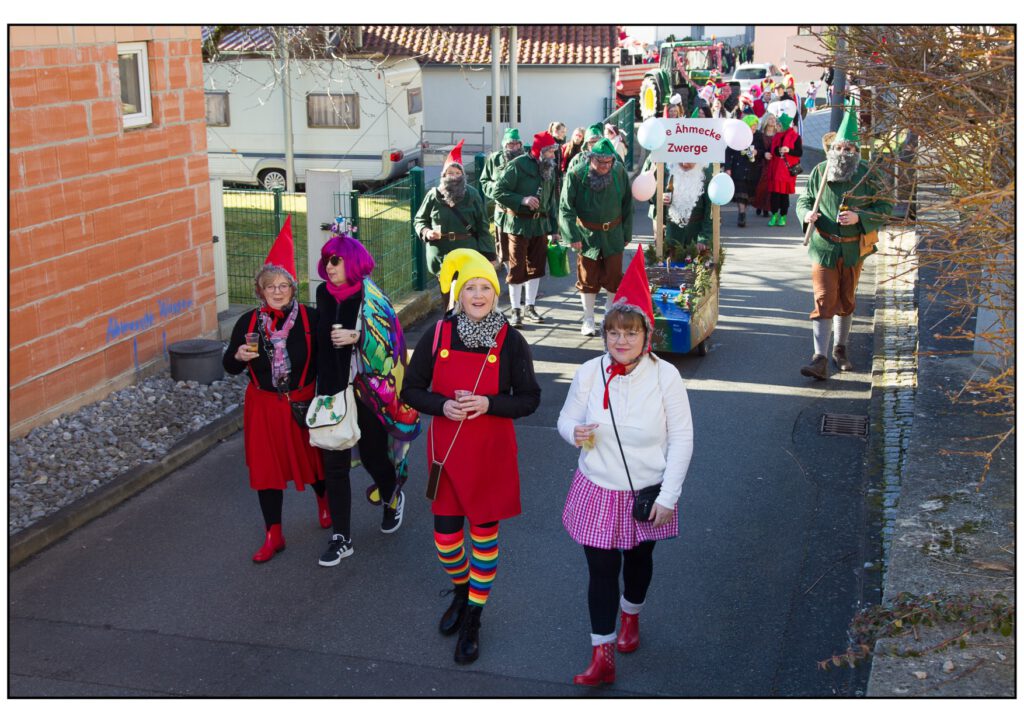 Umzug Karneval 2025-209