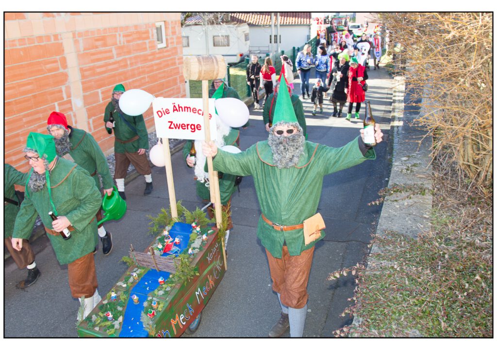 Umzug Karneval 2025-212