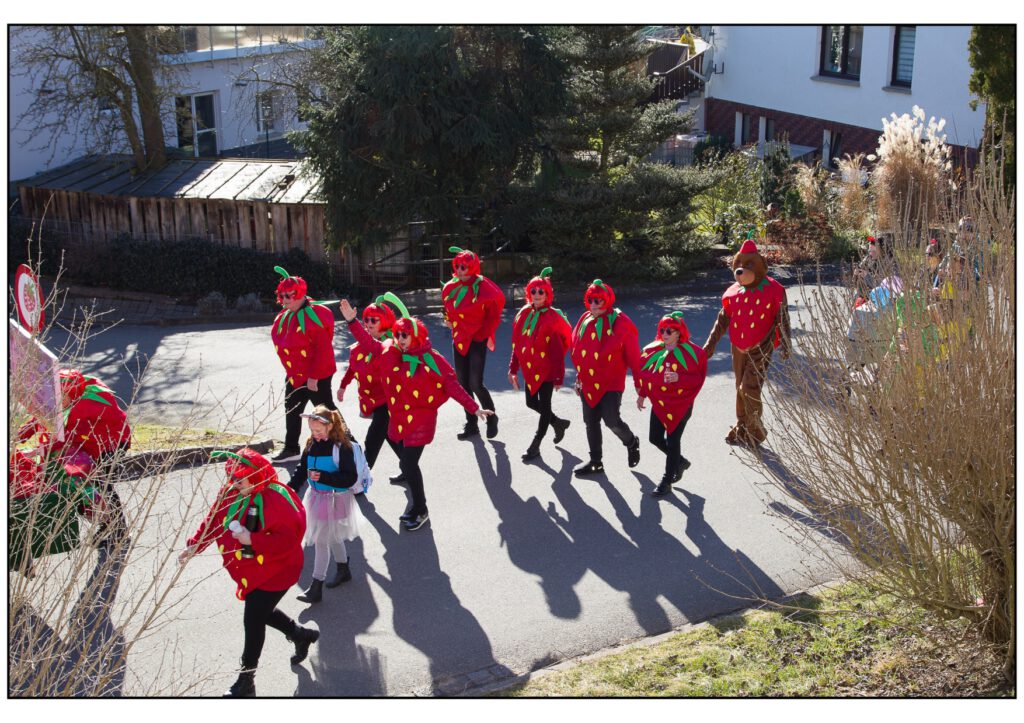 Umzug Karneval 2025-271