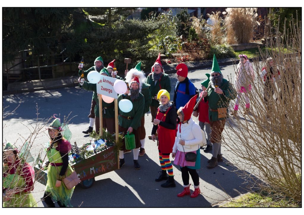 Umzug Karneval 2025-289