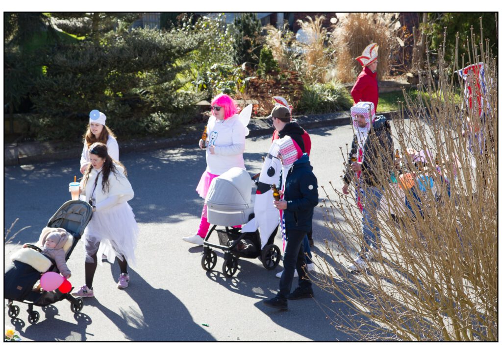 Umzug Karneval 2025-294