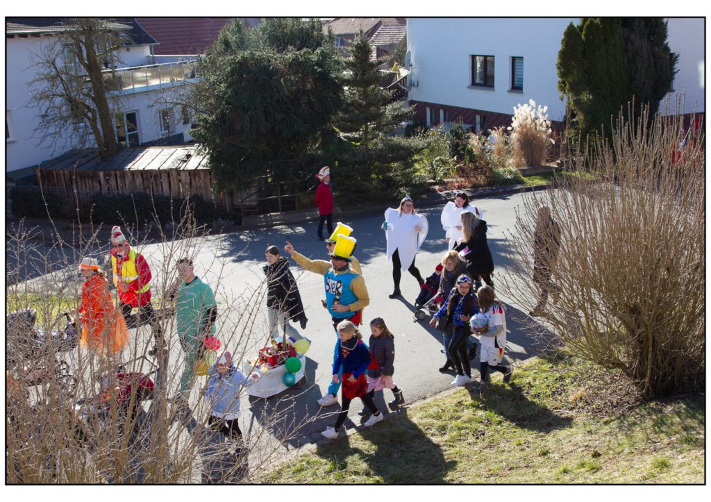 Umzug Karneval 2025-305