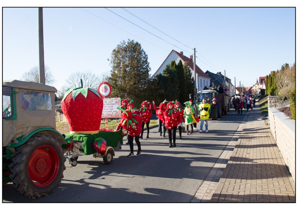 Umzug Karneval 2025-330