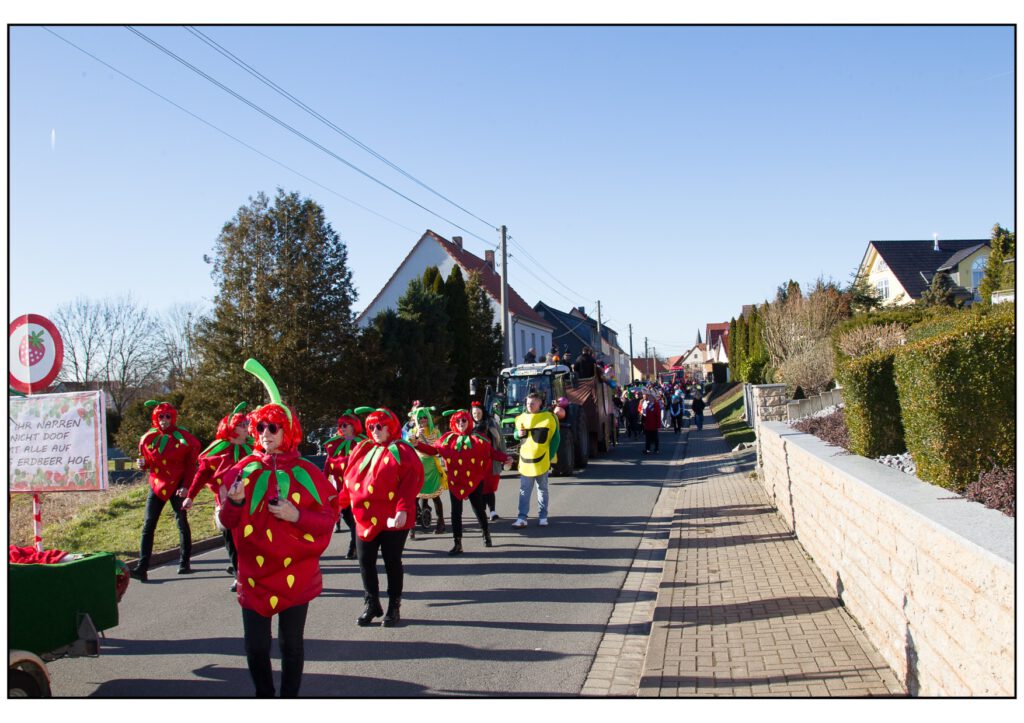 Umzug Karneval 2025-331