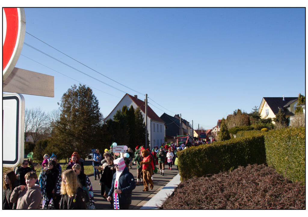 Umzug Karneval 2025-338