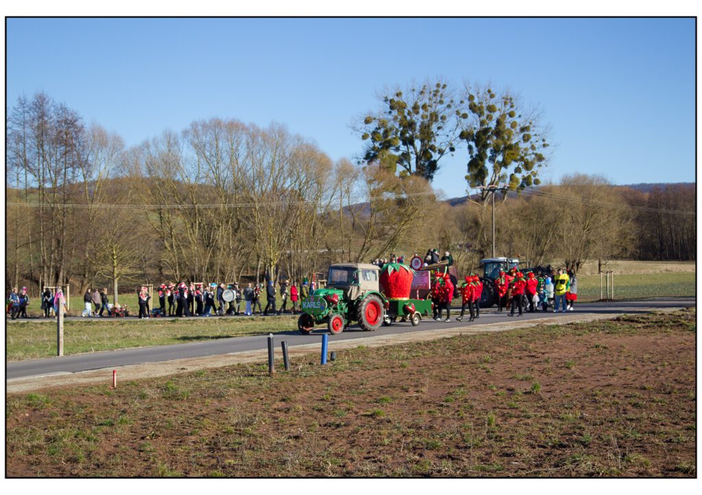 Umzug Karneval 2025-343