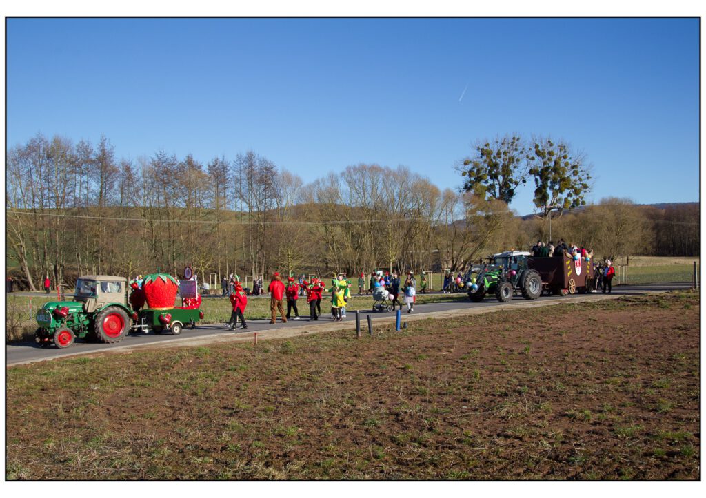 Umzug Karneval 2025-346