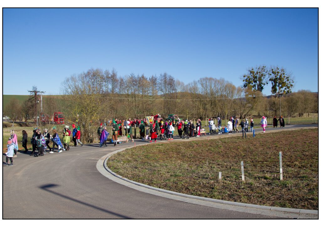 Umzug Karneval 2025-351