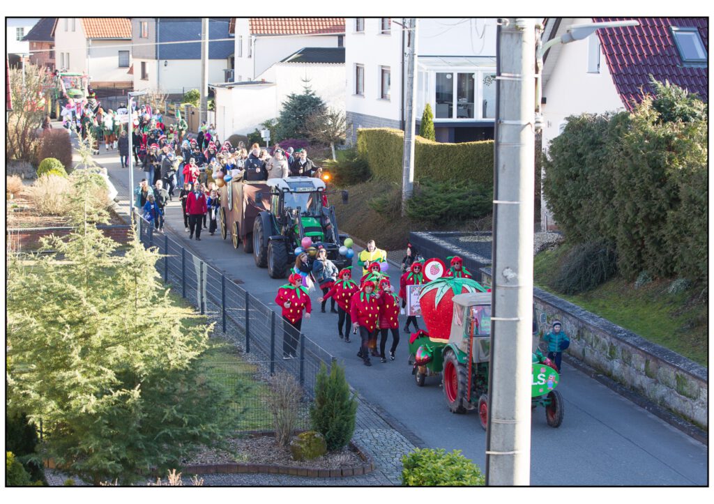 Umzug Karneval 2025-358