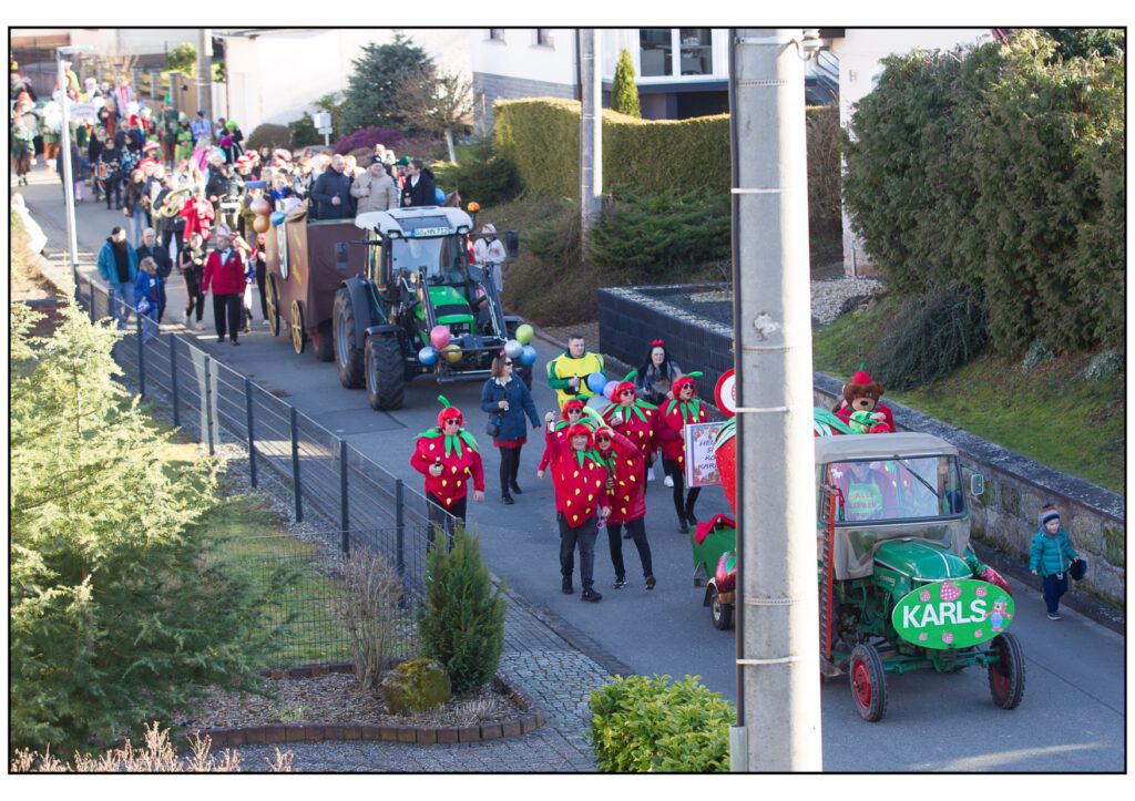 Umzug Karneval 2025-359