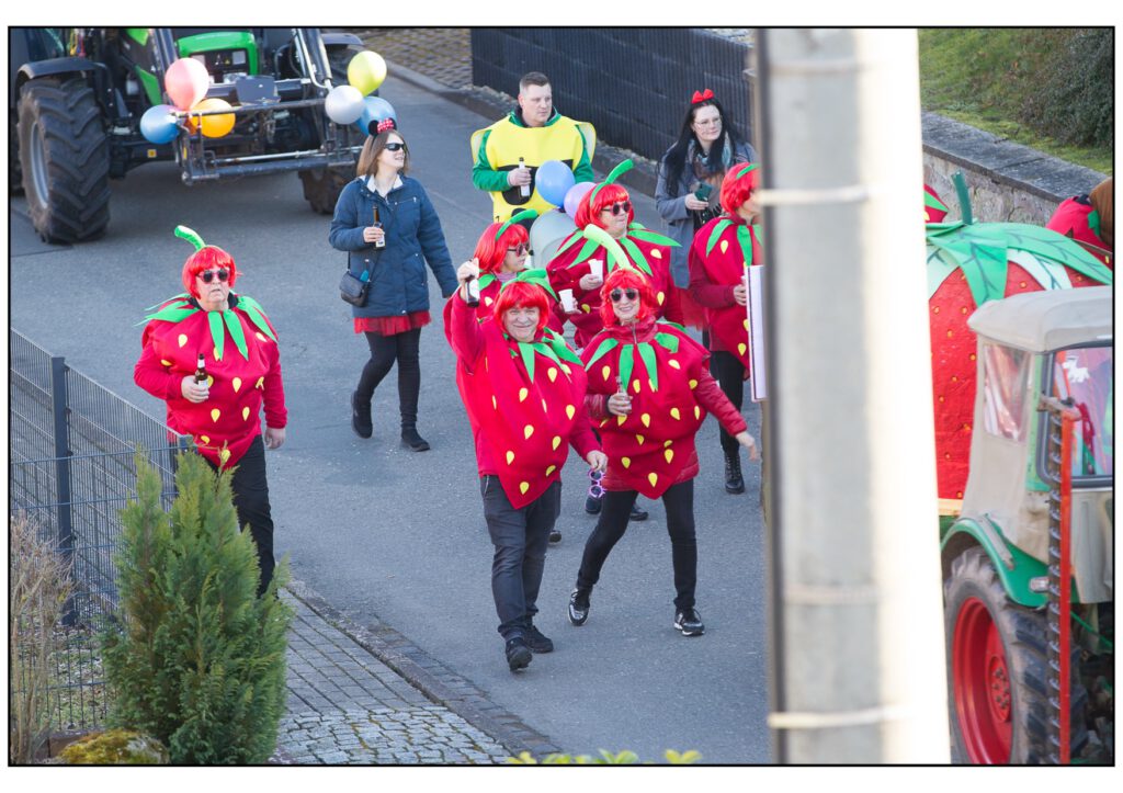 Umzug Karneval 2025-360