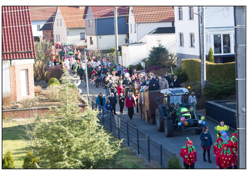 Umzug Karneval 2025-361