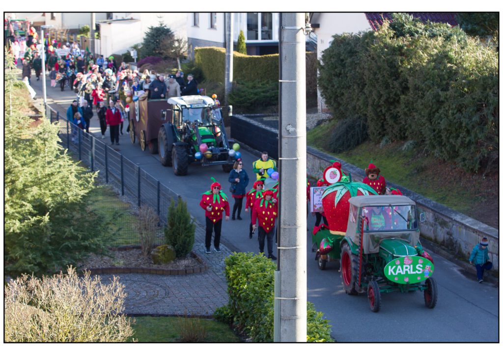 Umzug Karneval 2025-362