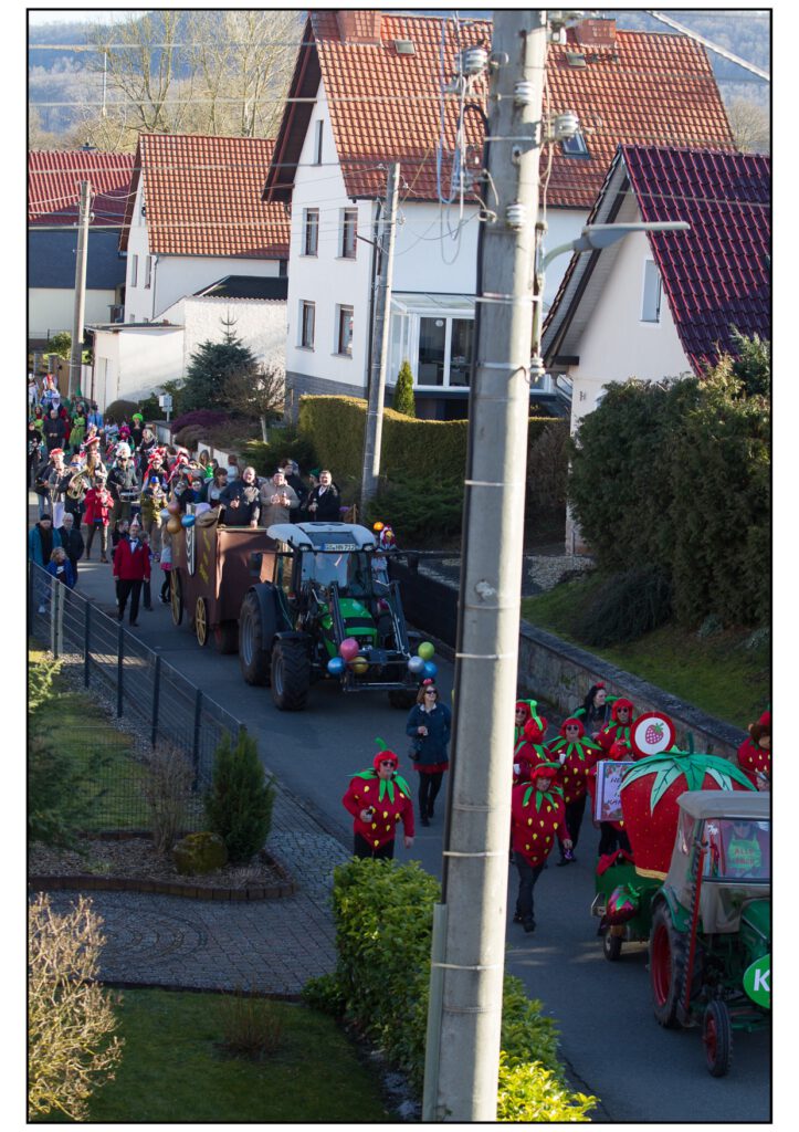 Umzug Karneval 2025-363