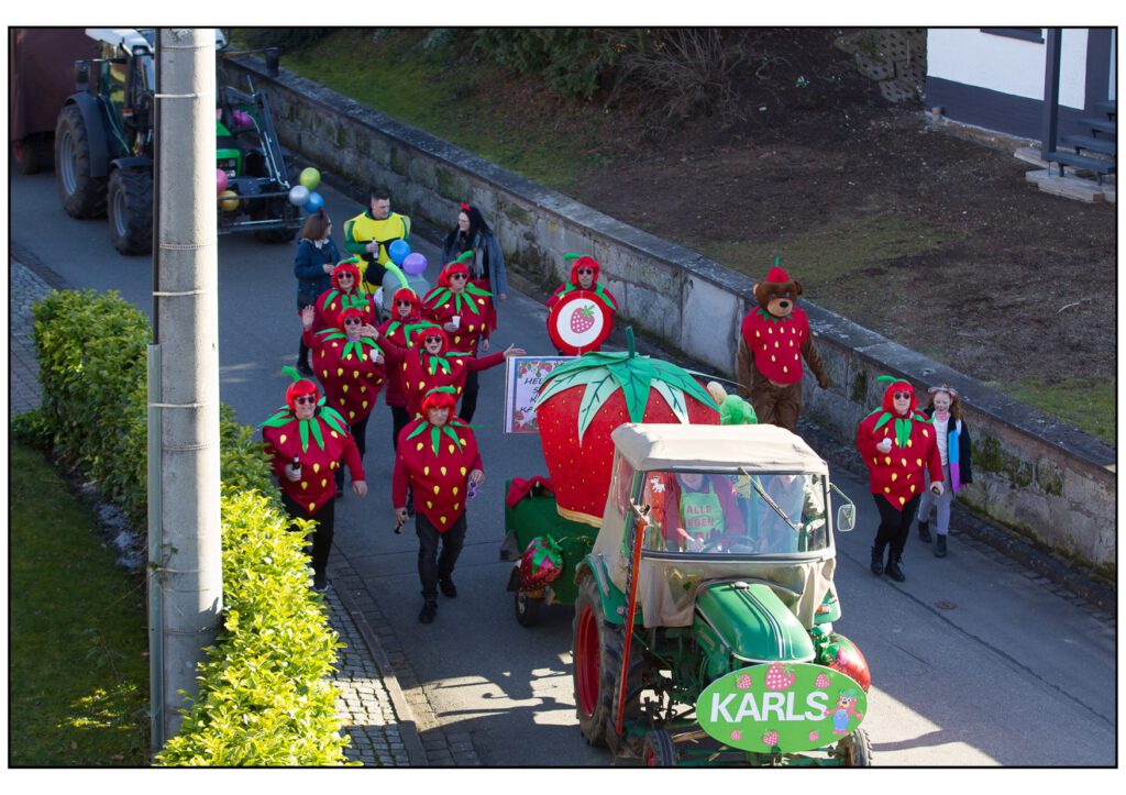 Umzug Karneval 2025-365