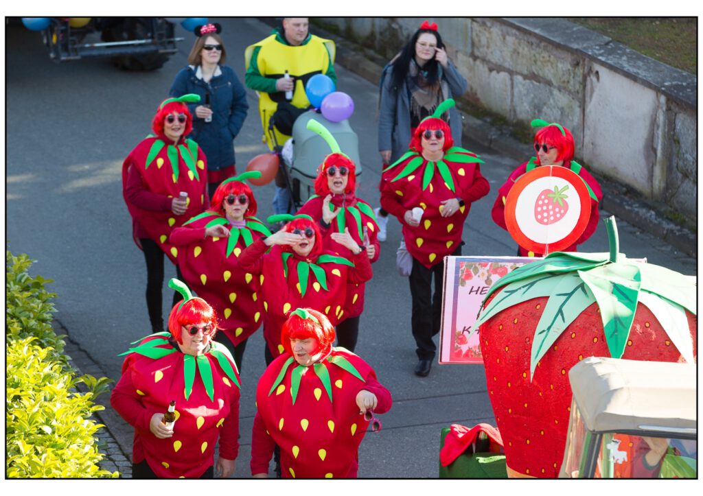 Umzug Karneval 2025-367