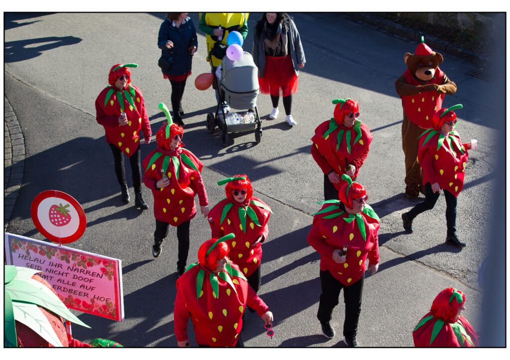 Umzug Karneval 2025-370
