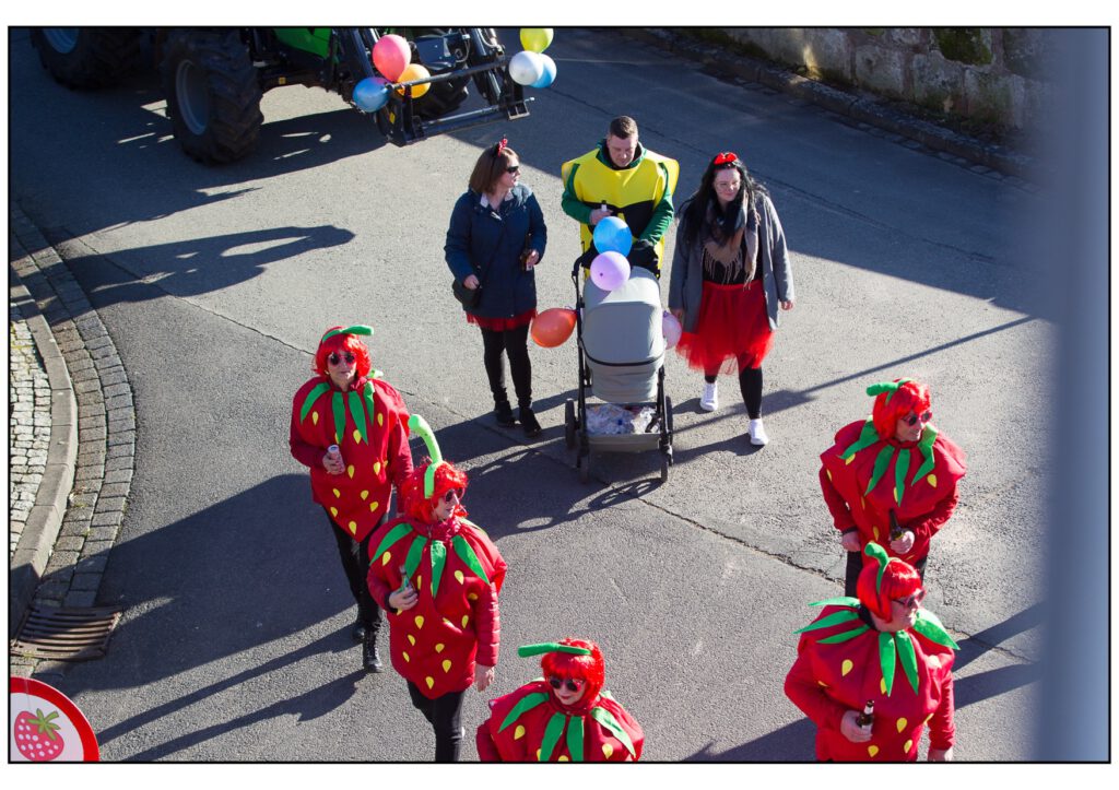 Umzug Karneval 2025-371
