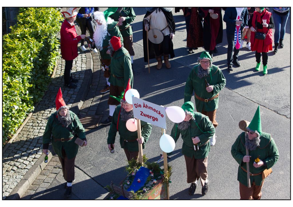 Umzug Karneval 2025-379