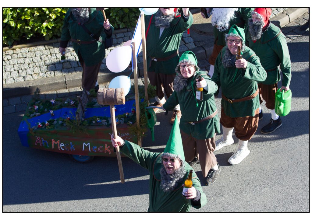 Umzug Karneval 2025-381