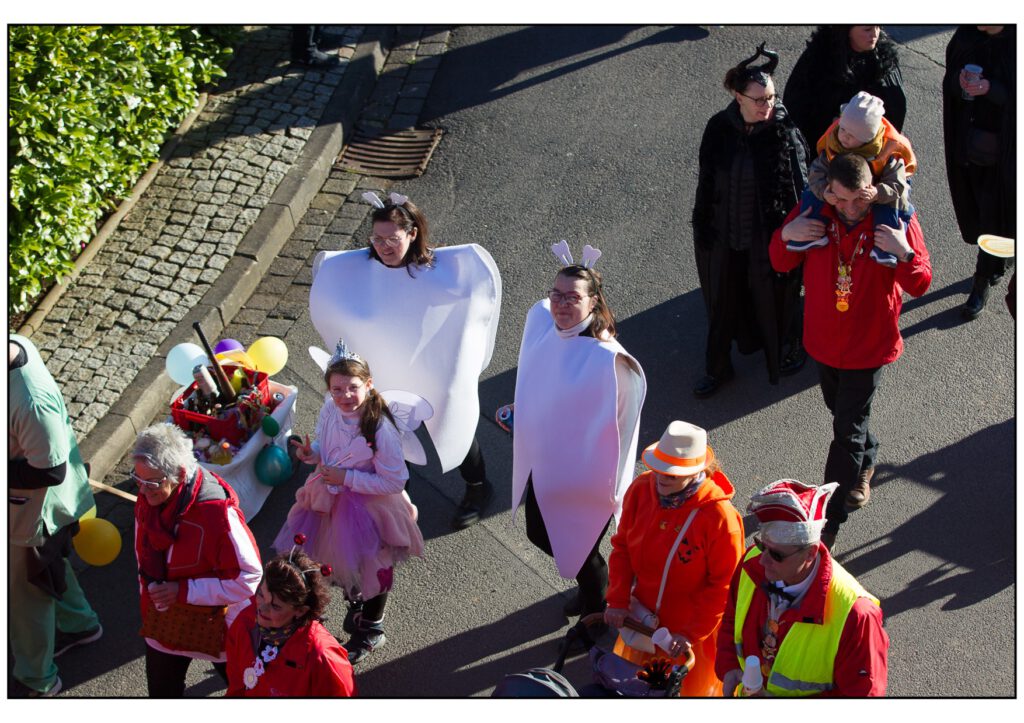 Umzug Karneval 2025-396
