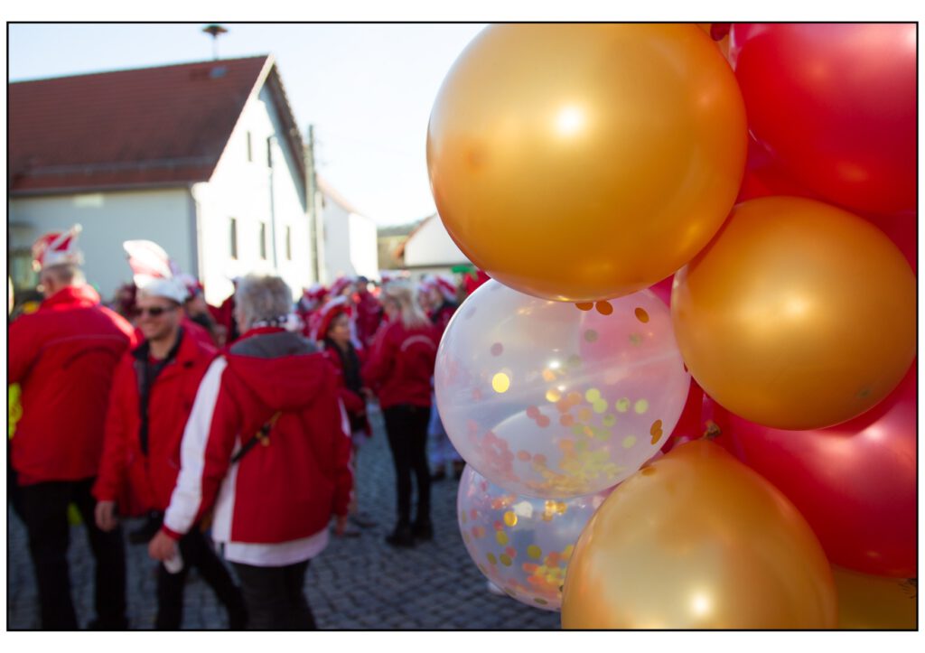 Umzug Karneval 2025-430