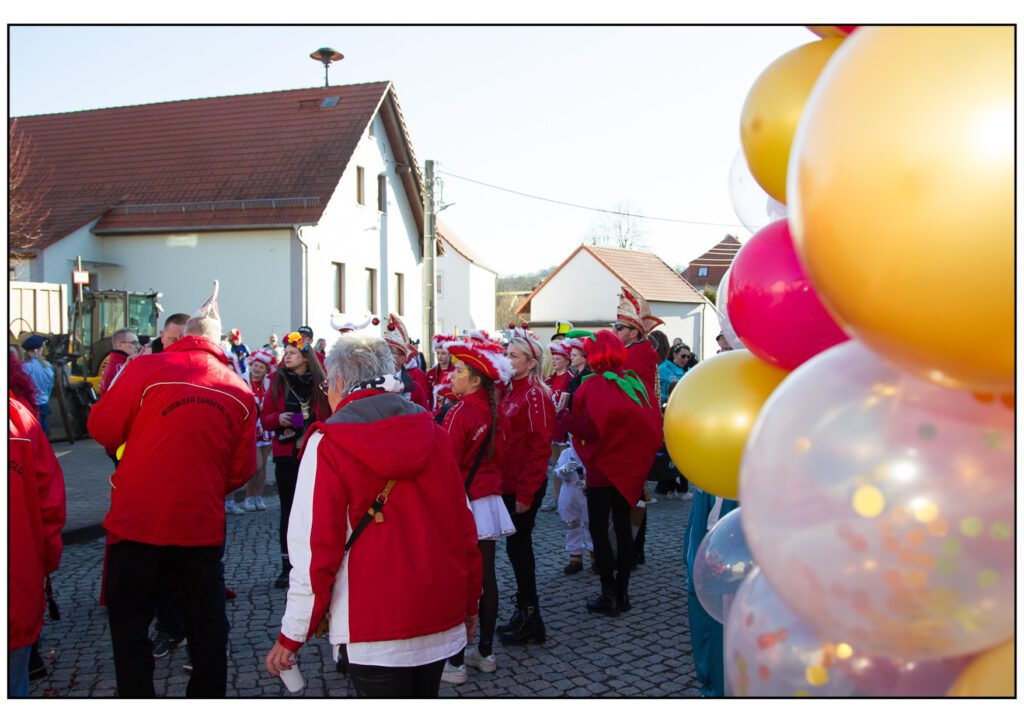 Umzug Karneval 2025-431