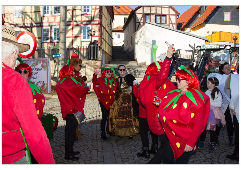 Umzug Karneval 2025-451