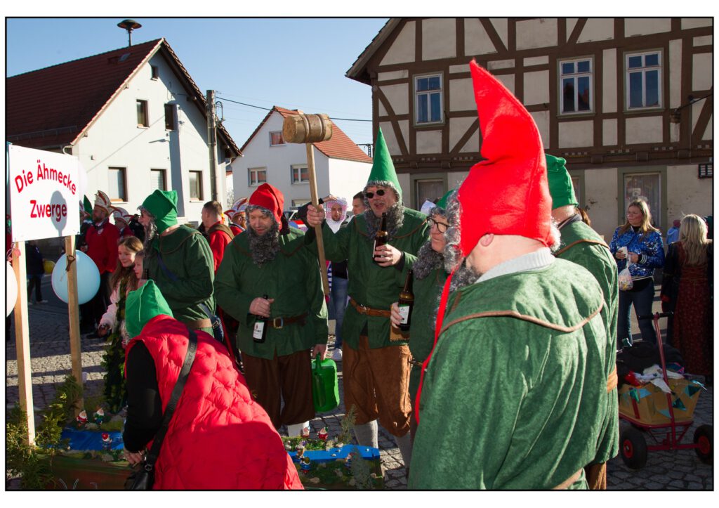 Umzug Karneval 2025-459