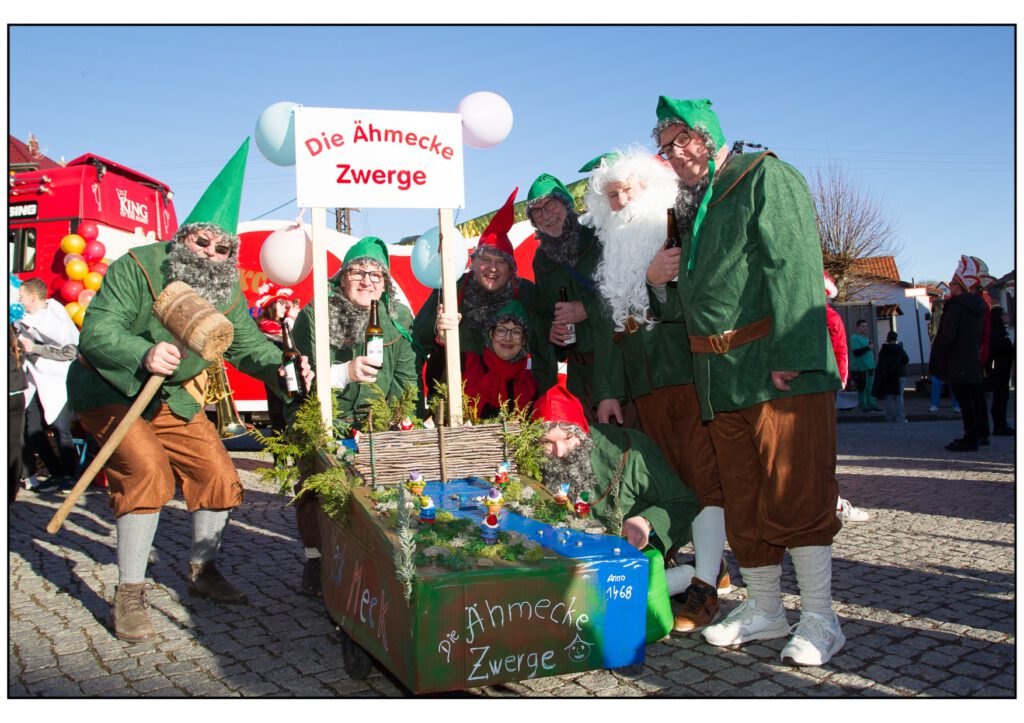 Umzug Karneval 2025-476